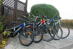 BMX / MTB / Trekkingcross