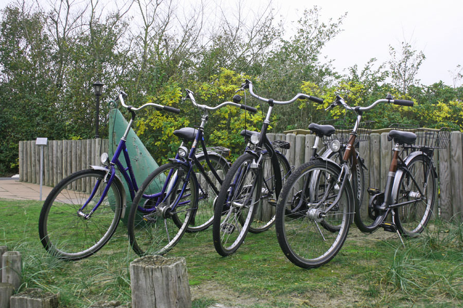 Fahrradverleih Borkum Jan van Raden Unser Fahrradsortiment